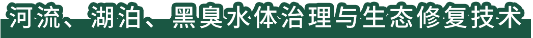 河流、湖泊、黑臭水體治理與生態修復技術